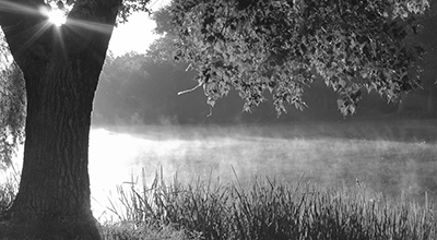 Arbre feuillu en avant-plan au travers duquel perce le soleil avec un cours d’eau en arrière-plan (noir et blanc)