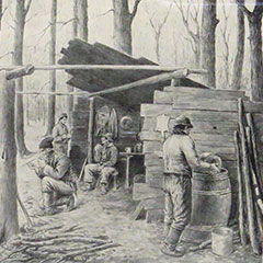 Dessin qui représente des hommes, dans la forêt, qui récoltent et font bouillir l'eau d'érable pour en faire du sirop.